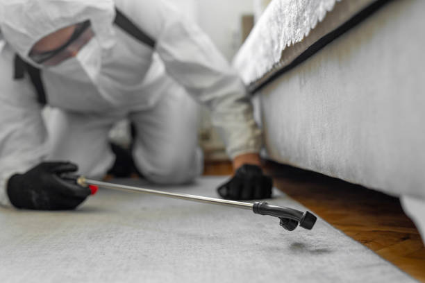 Professional Bed Bug Control technician working in Albion, NE